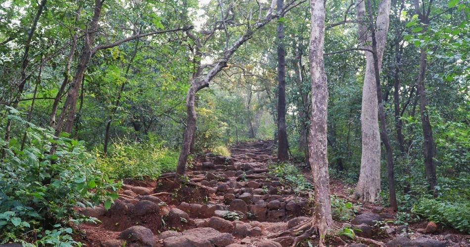 Best Camping Getaways Near Mumbai for a Perfect Weekend Escape